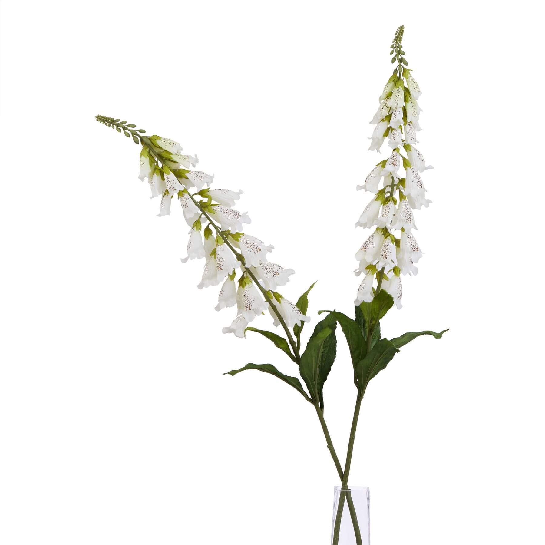 Lifelike white bellflower stem with intricate veining, 11cm high, for elegant zero-maintenance floral arrangements by RoomLondon at brixbailey.com