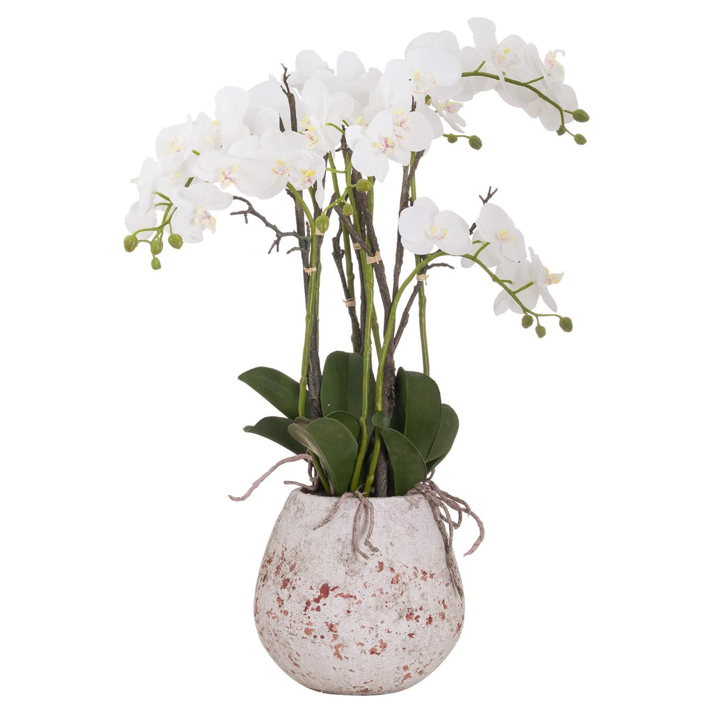 Handcrafted stone orchid planter with live orchid, 70cm tall, natural textured finish for home decor centerpiece  by RoomLondon at brixbailey.com