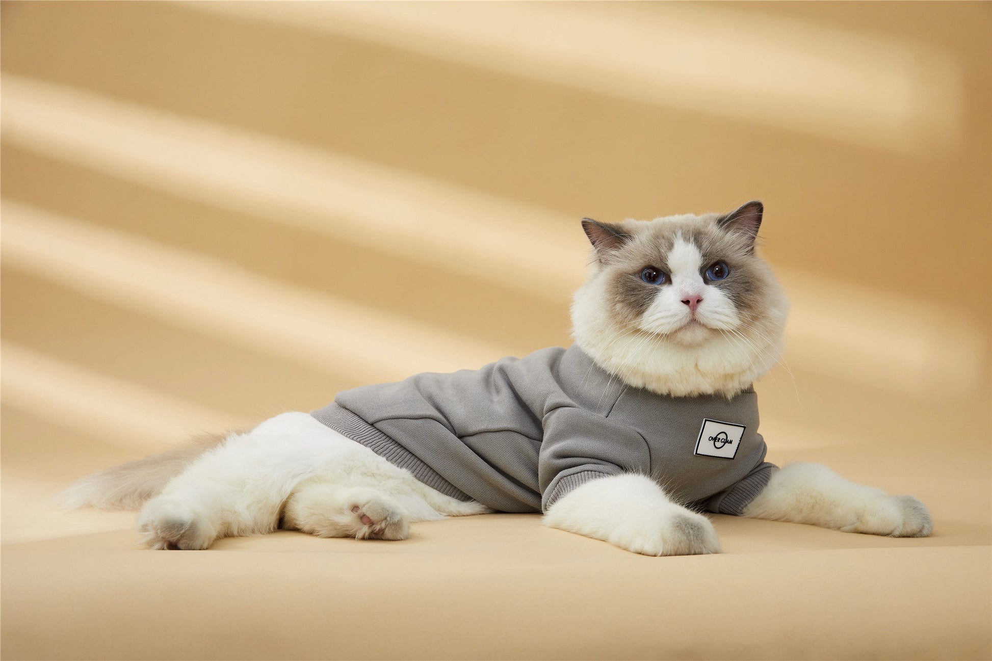 Classic Metal Buckle Sweatshirt