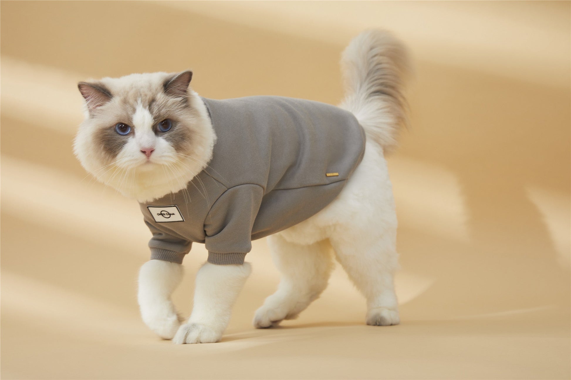 Classic Metal Buckle Sweatshirt