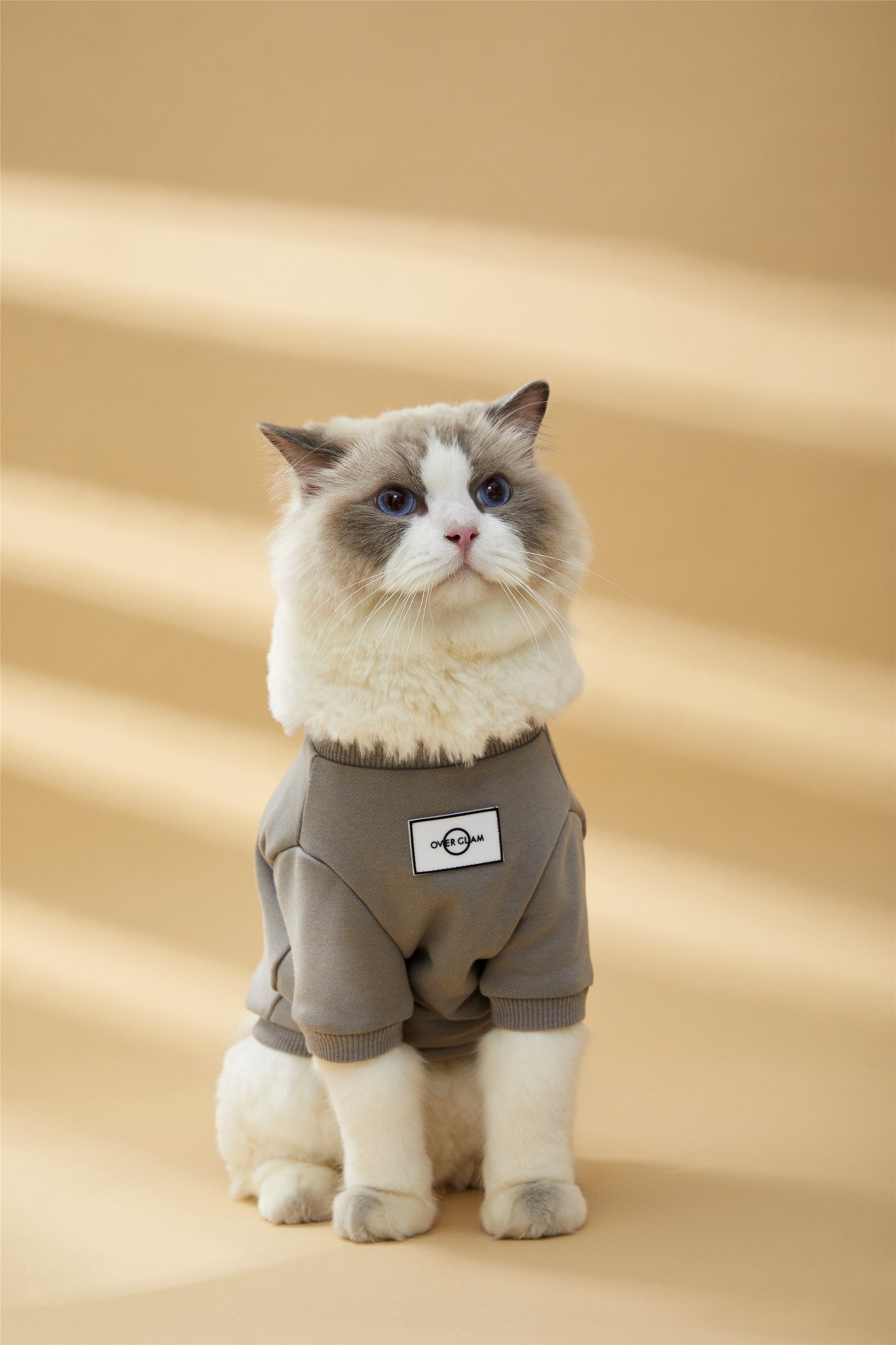 Classic Metal Buckle Sweatshirt