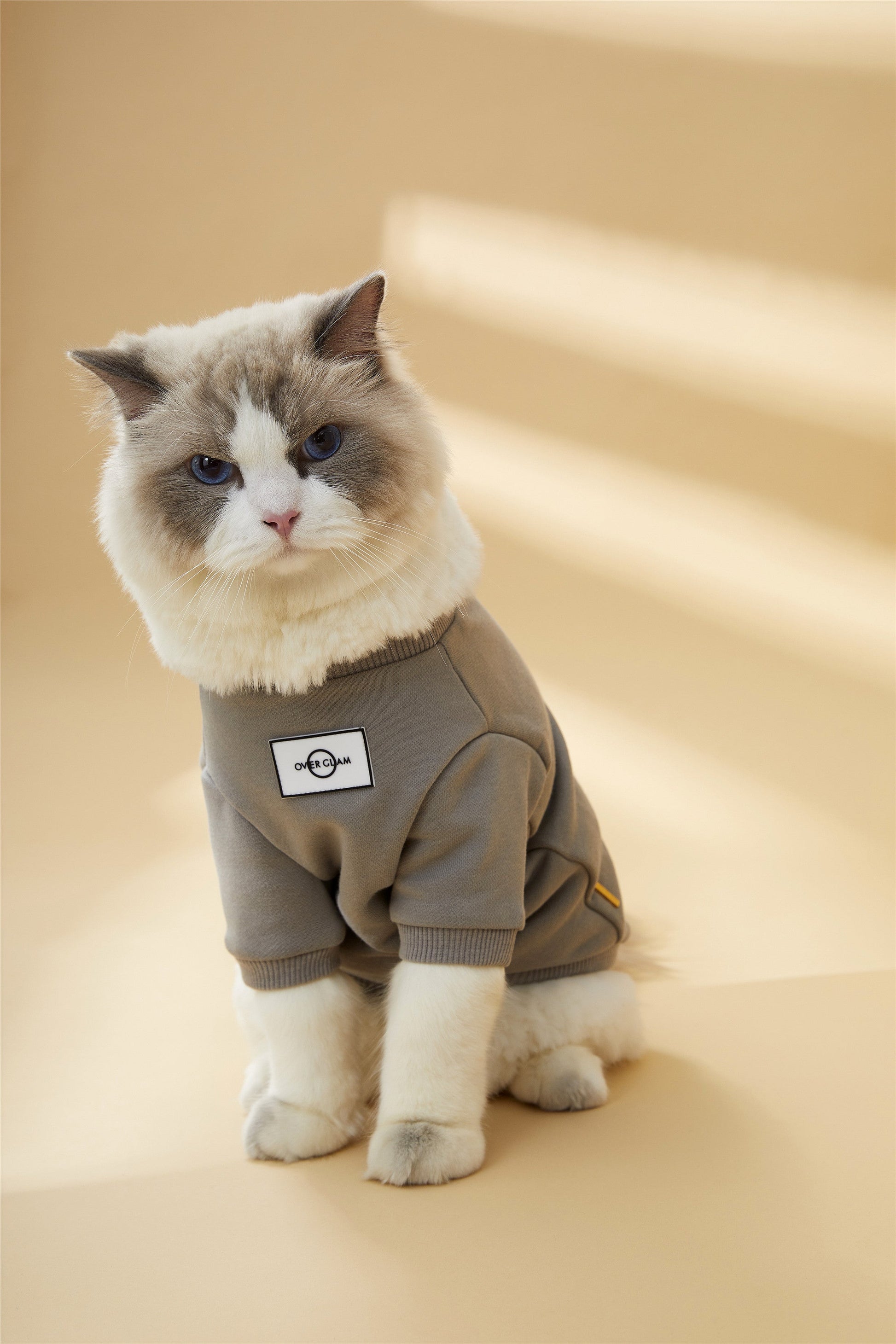 Classic Metal Buckle Sweatshirt