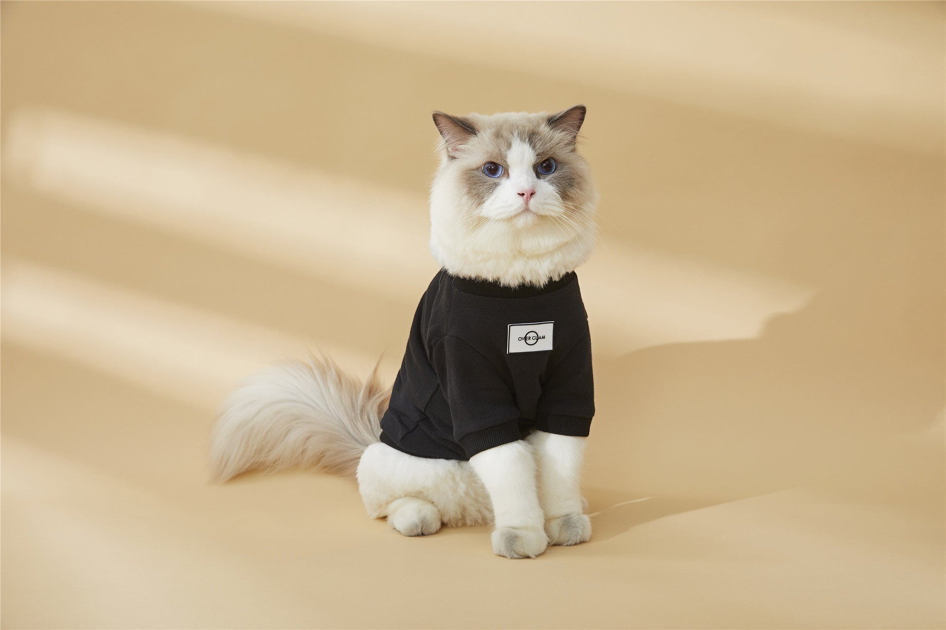 Classic Metal Buckle Sweatshirt