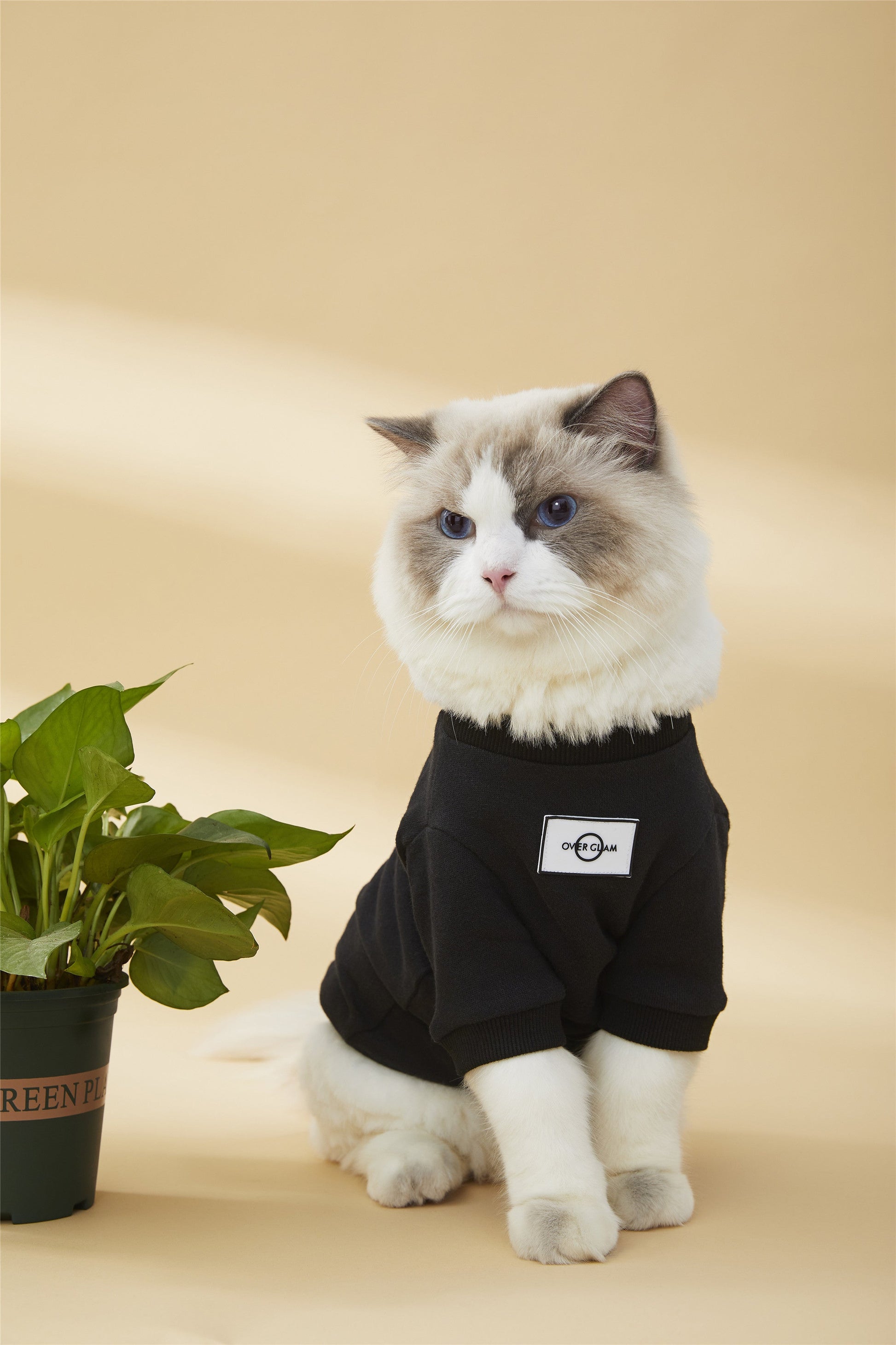 Classic Metal Buckle Sweatshirt