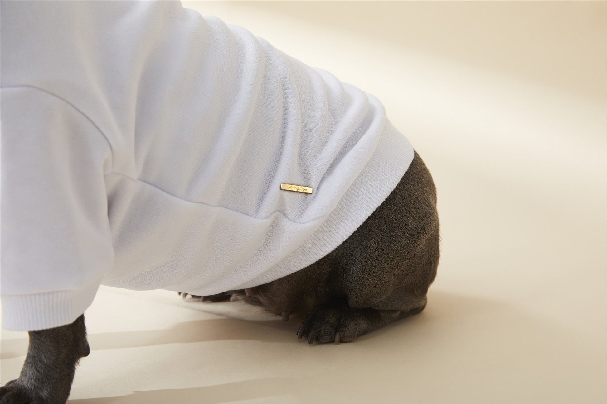 Classic Metal Buckle Sweatshirt