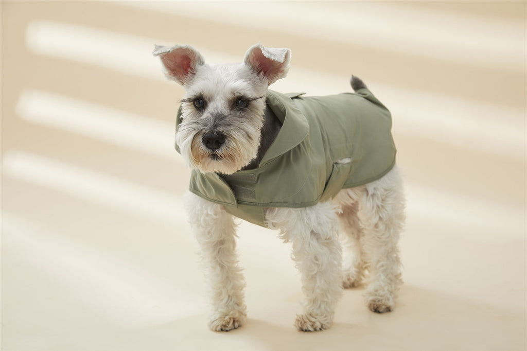 Adjustable Thin Coat in Green