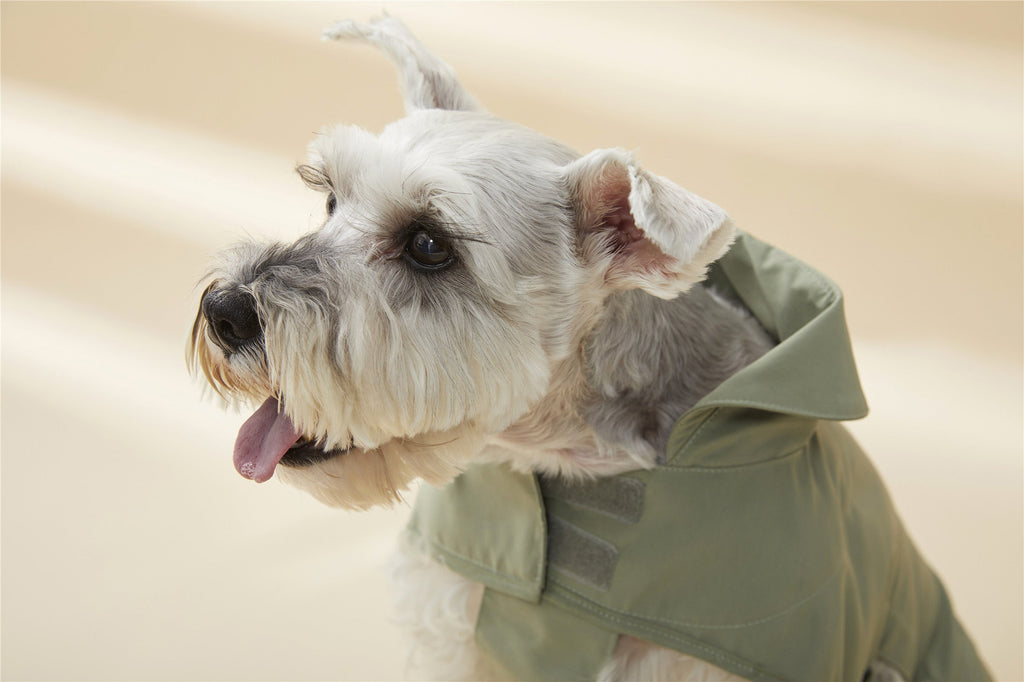 Adjustable Thin Coat in Green