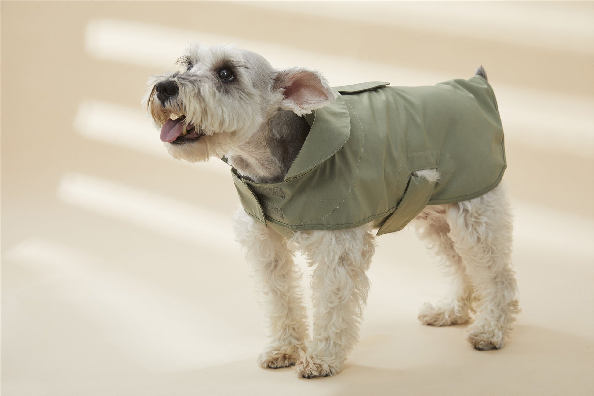 Adjustable Thin Coat in Green