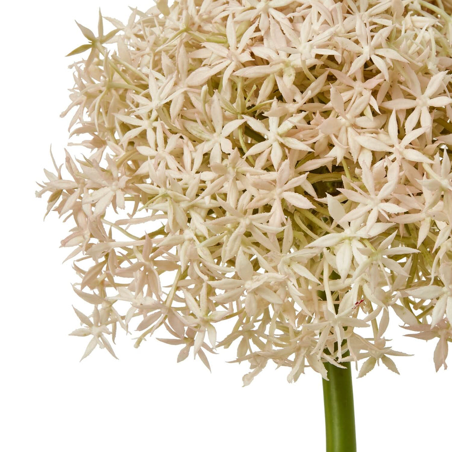 Soft pink faux allium stem, 90cm tall, lifelike plastic floral decor for modern or bohemian interiors by Sostter at brixbailey.com