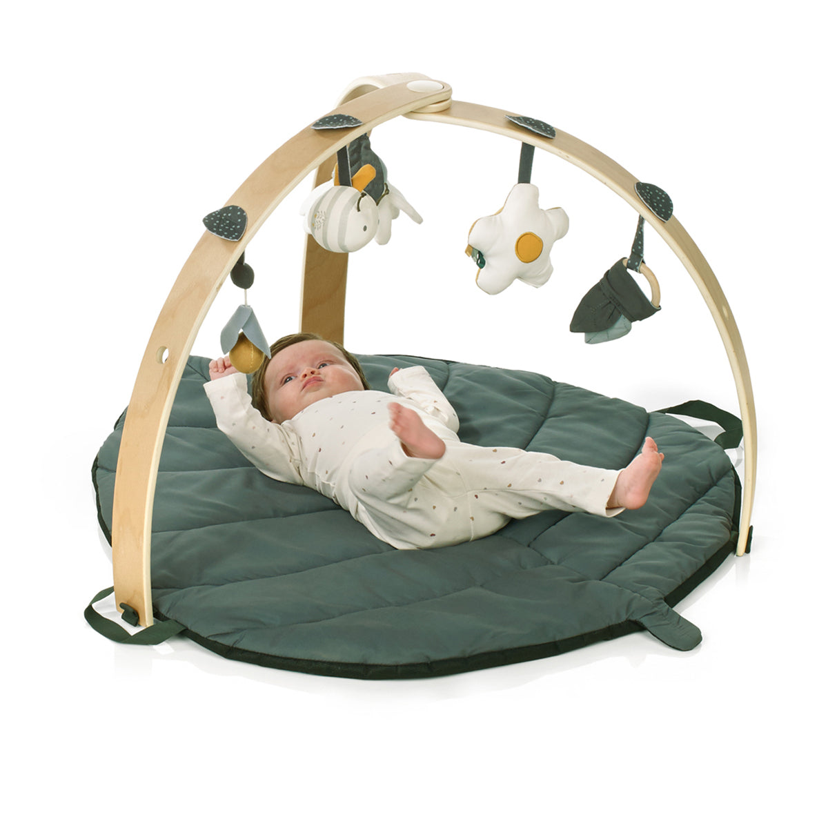 Baby Play Mat with Activity Gym and Toys