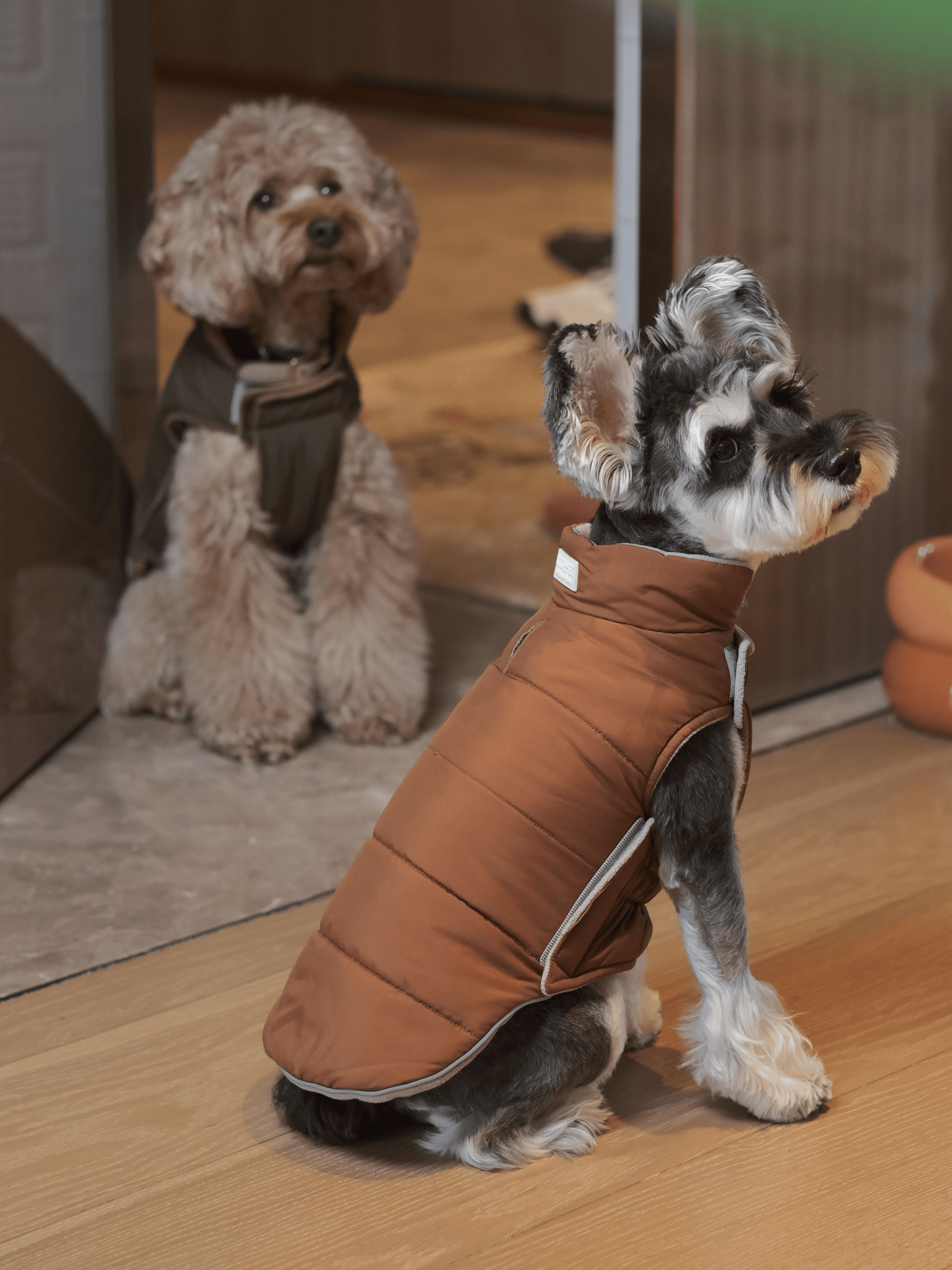 Reversible Dog Vest Jacket in Orange and Grey