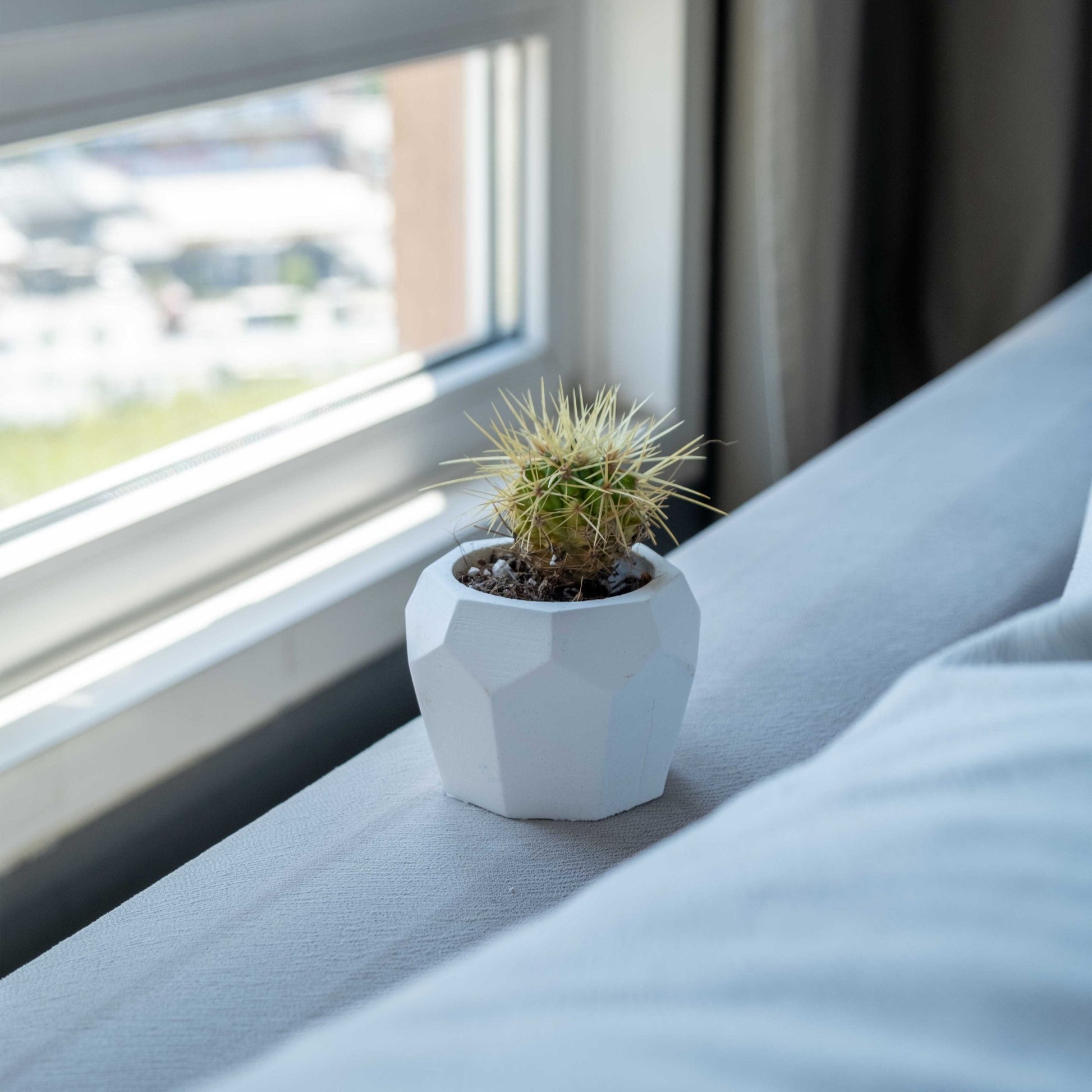 White Concrete Bee Home Pot