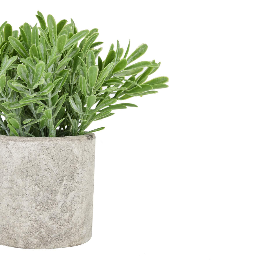 Lifelike artificial green botanical plant in stone-effect pot, 20cm tall, zero-maintenance decor for shelves or desks by Sostter at brixbailey.com