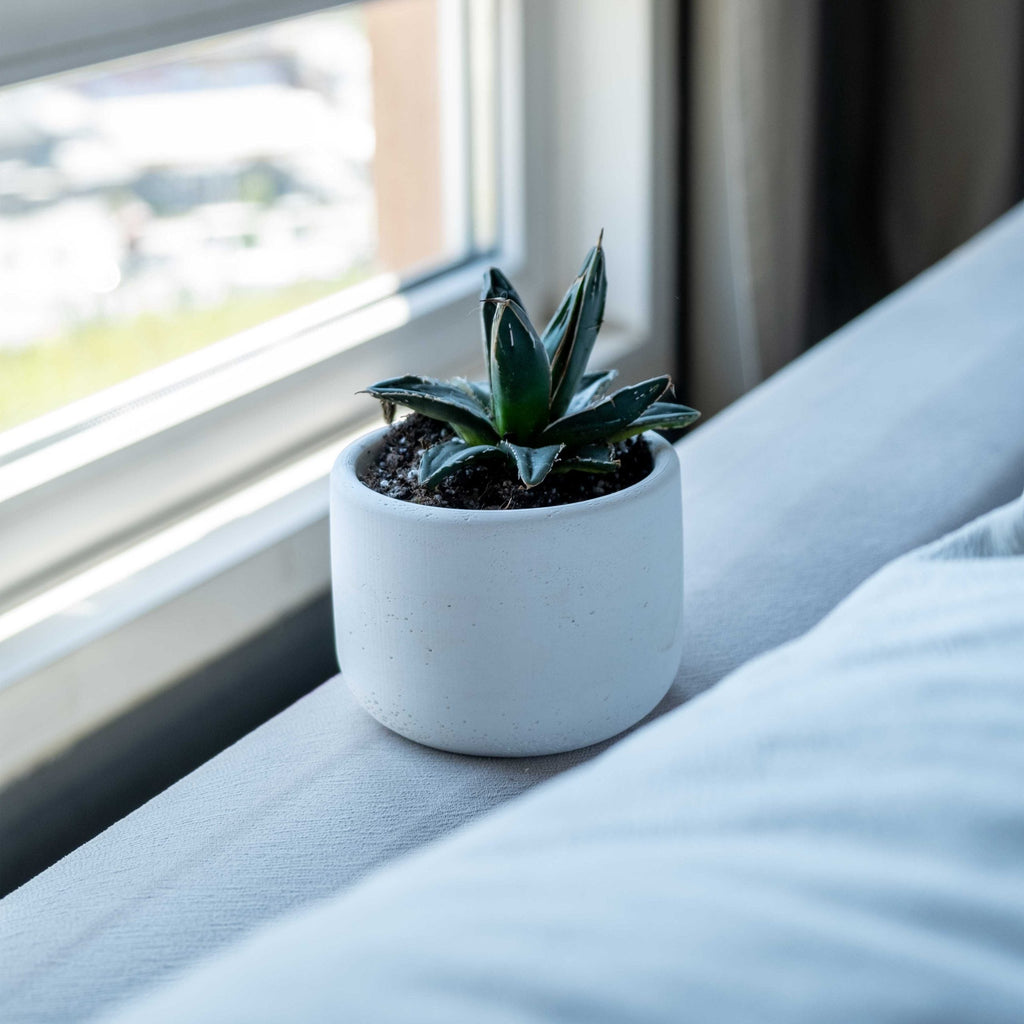 White Concrete Wiener Pot for Plants