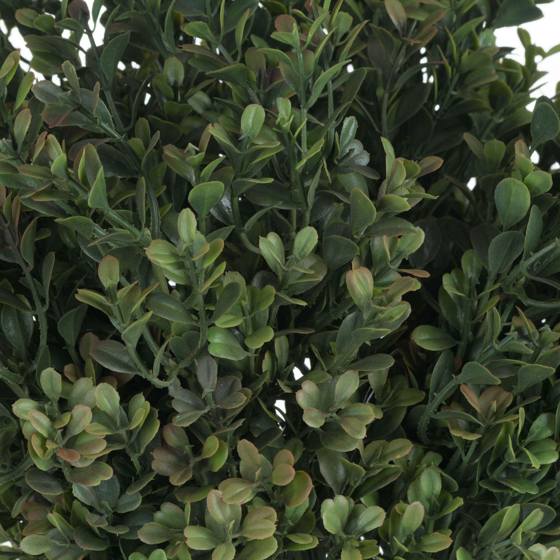 Lifelike autumn leaf spray with red-to-green gradient, perfect for seasonal home decor by Sostter at brixbailey.com