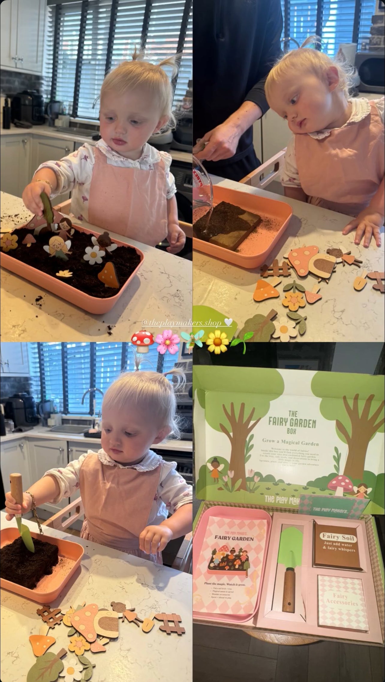 Fairy Garden Starter Kit with Apron, Tray, Shovel, Fairies, Soil and Seeds