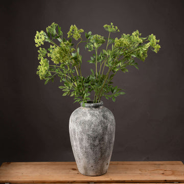 Artificial cow parsley stem with white blooms and green foliage, 100cm tall, realistic wildflower decor for floral arrangements by Sostter at brixbailey.com