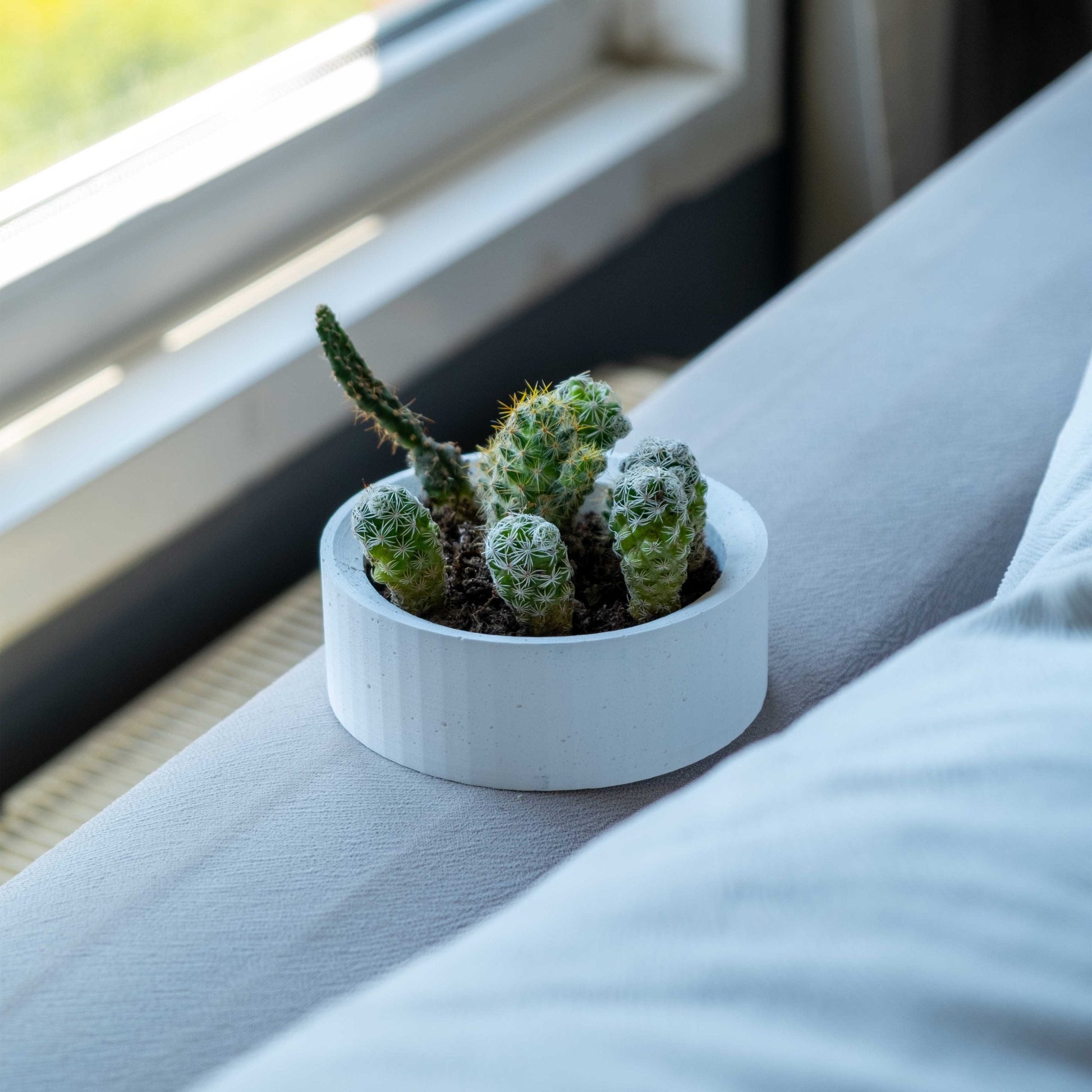 White Concrete Handle Pot