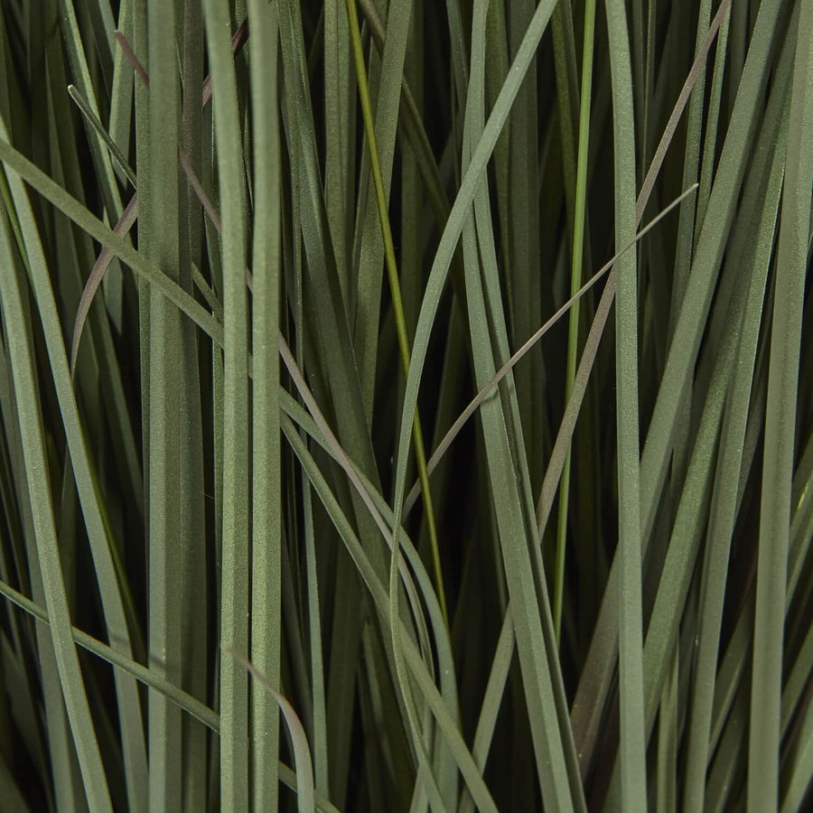 Lifelike faux Fountain Grass in natural green tones with feathery plumes, 81cm tall in sleek black pot for home decor. by Sostter at brixbailey.com
