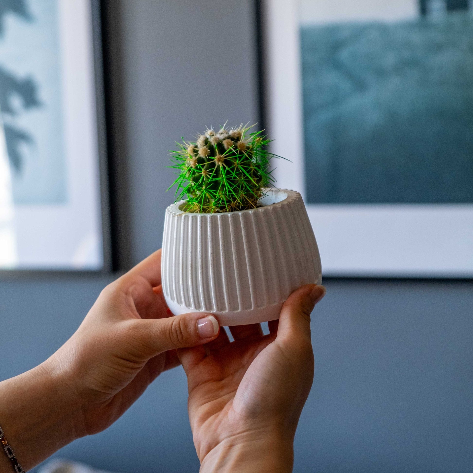 White Concrete Mug Planter Pot