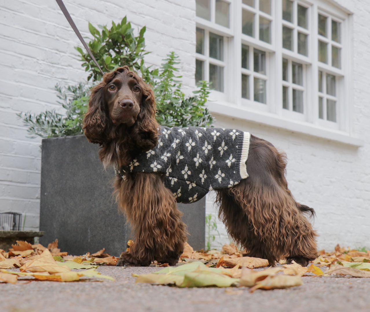 Sleeveless Floral Jacquard Jumper in Dark Grey
