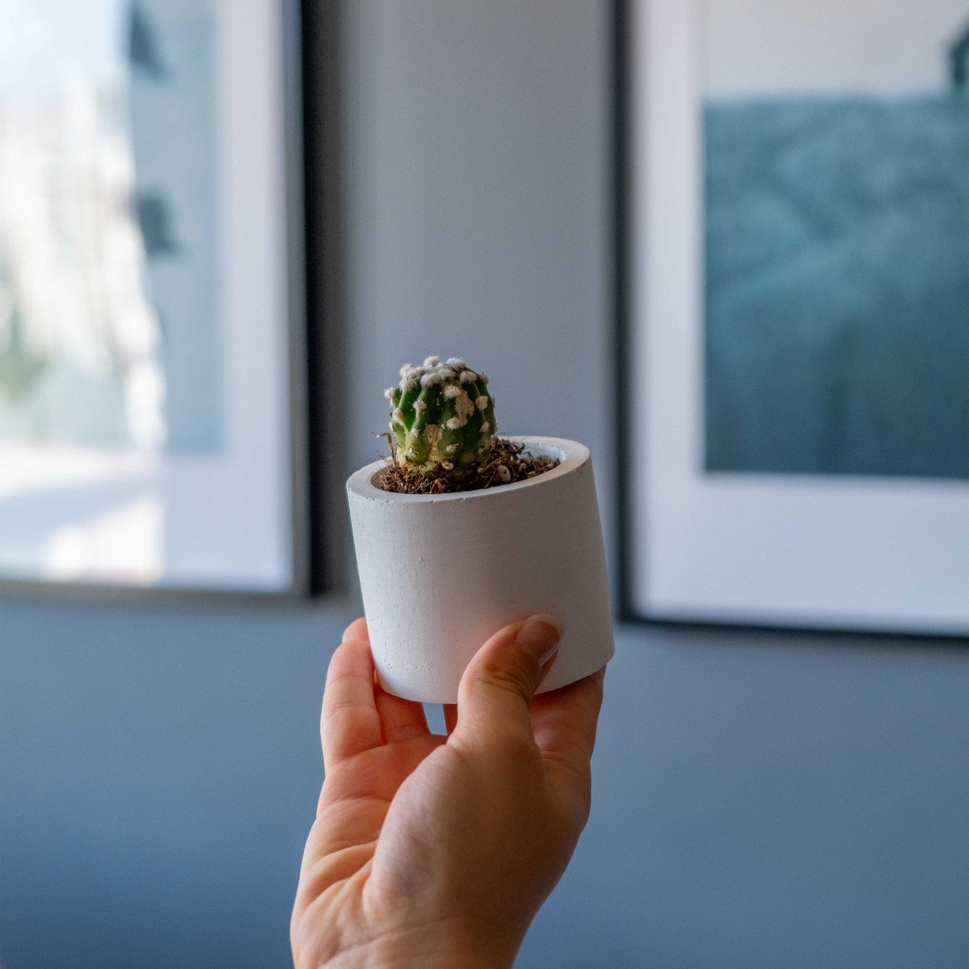 White Concrete Cylinder Tealight Holder