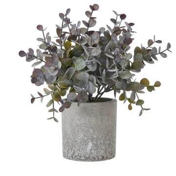Small artificial eucalyptus plant in grey concrete pot with silvery-blue foliage, lifelike and maintenance-free by Sostter at brixbailey.com
