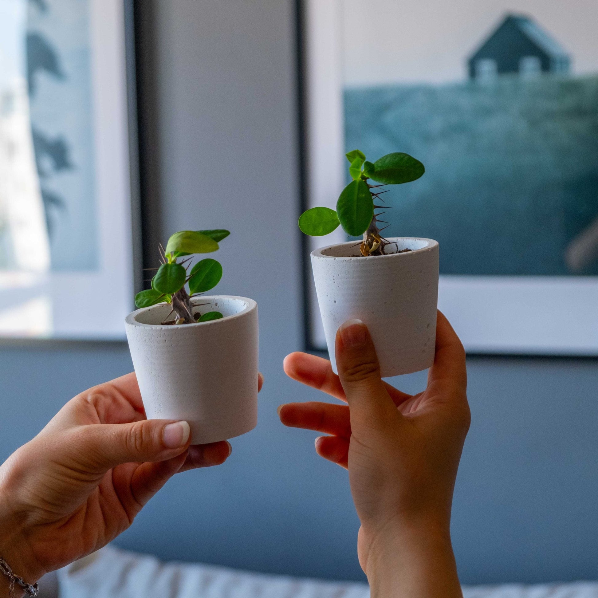 White Concrete Blossom Pot