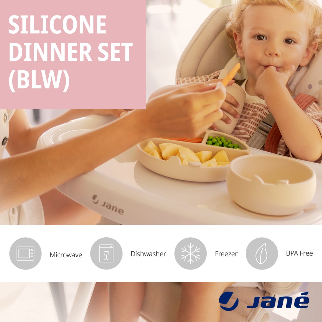 4 Piece Silicone Dinner Set for Children