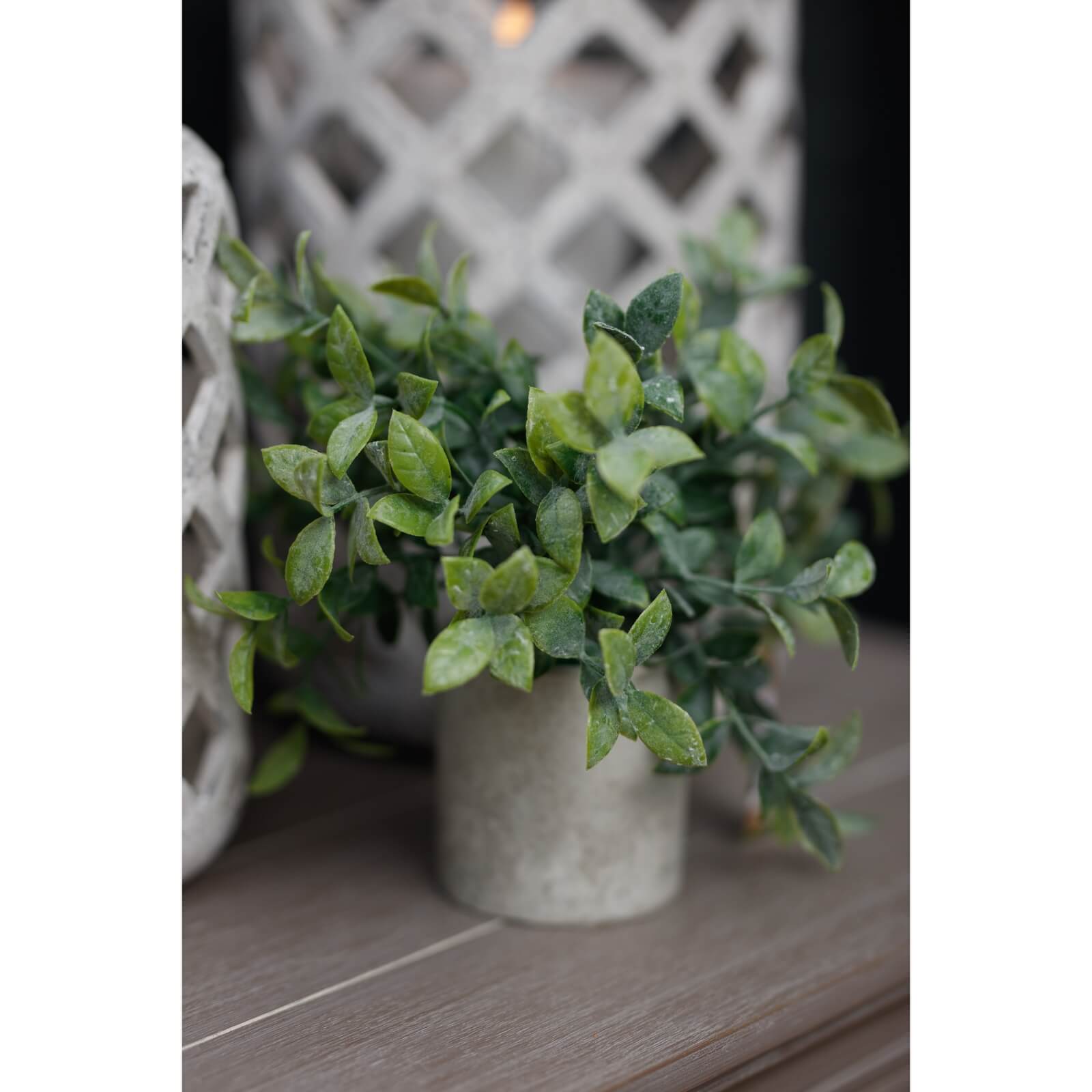 Lifelike small faux box plant in modern grey pot, vibrant green leaves, perfect for desks or shelves. by Sostter at brixbailey.com