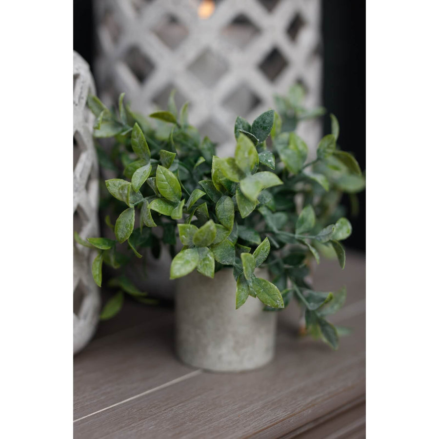 Lifelike small faux box plant in modern grey pot, vibrant green leaves, perfect for desks or shelves. by Sostter at brixbailey.com