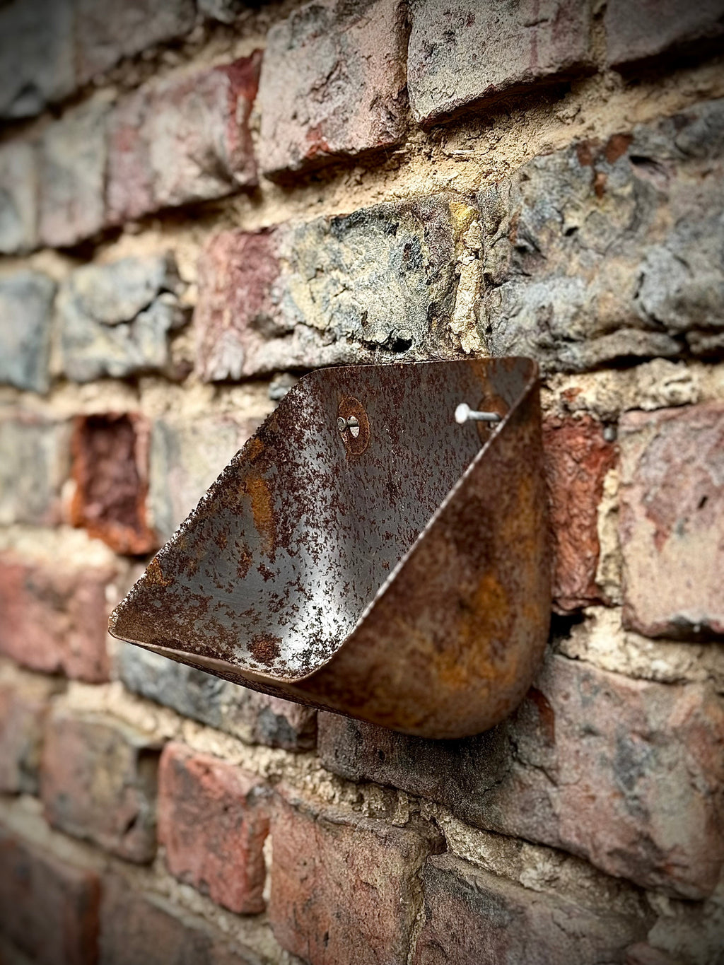 Vintage Rusty Metal Wall Mounted Planter / Herb Planter / Plant Pot / Key Holder