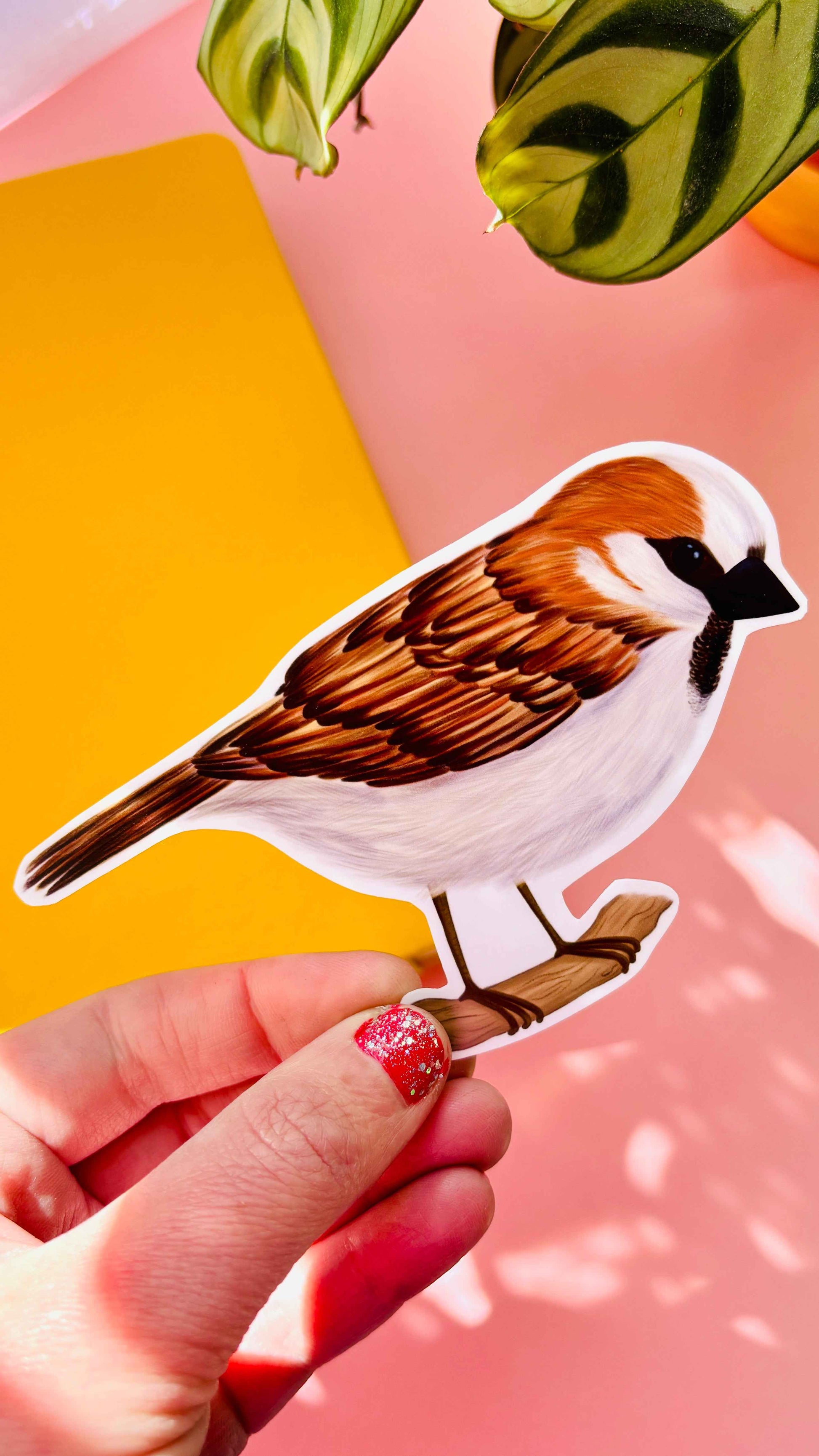 Garden Birds 10cm Vinyl Stickers: Nature Inspired Waterproof Decals