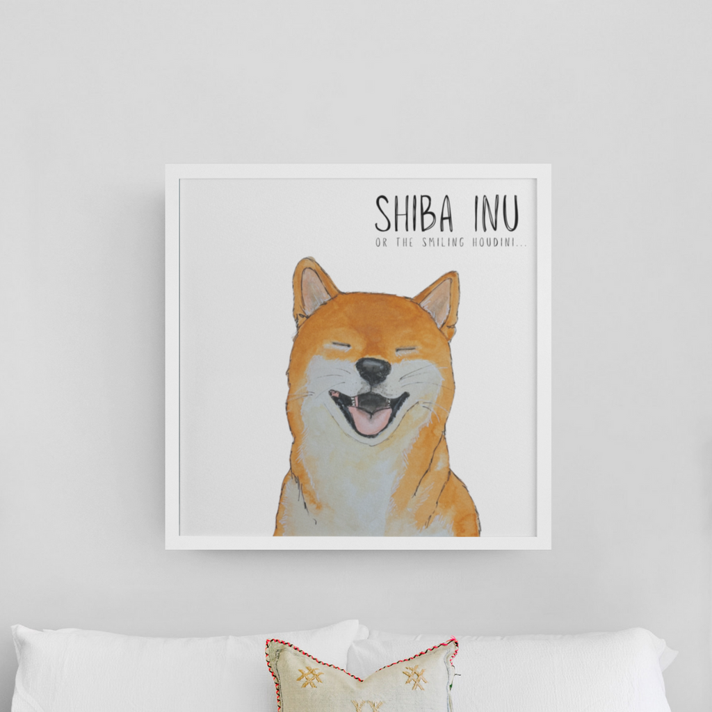 Escape Artist Elegance: The Shiba Wall Print