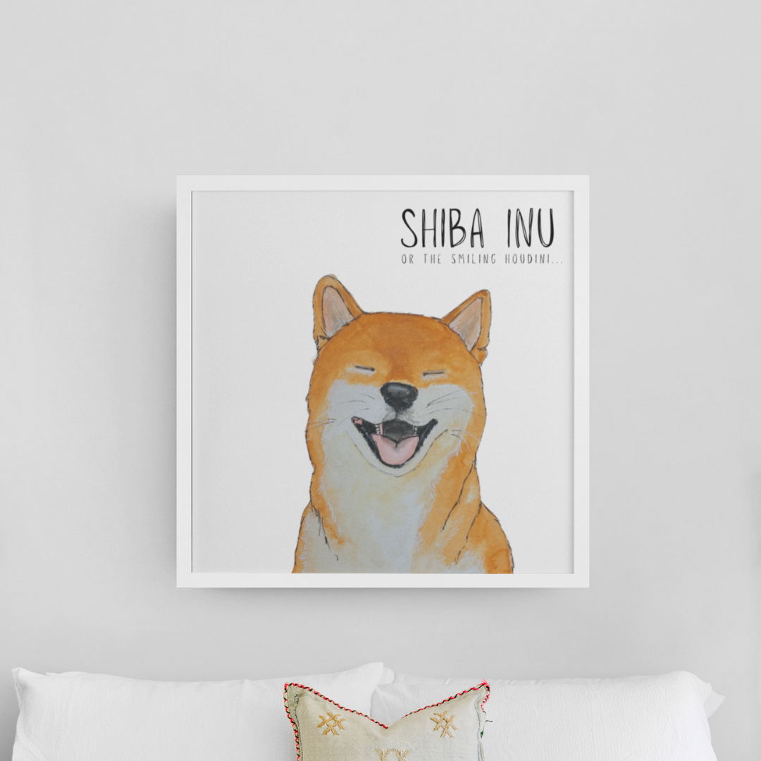 Escape Artist Elegance: The Shiba Wall Print