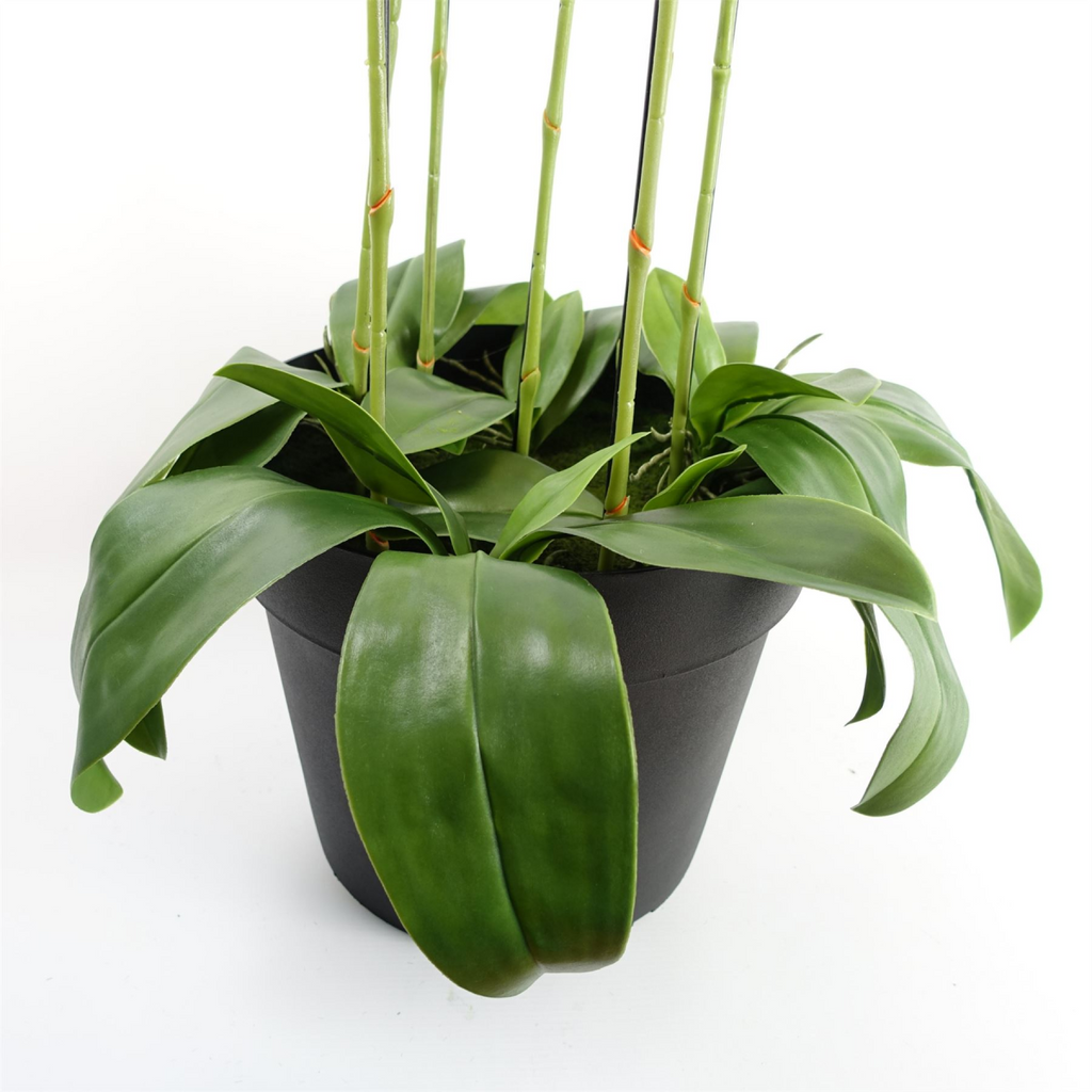 150cm Giant Purple Orchid Plant Artificial with 189 Real Touch Flowers