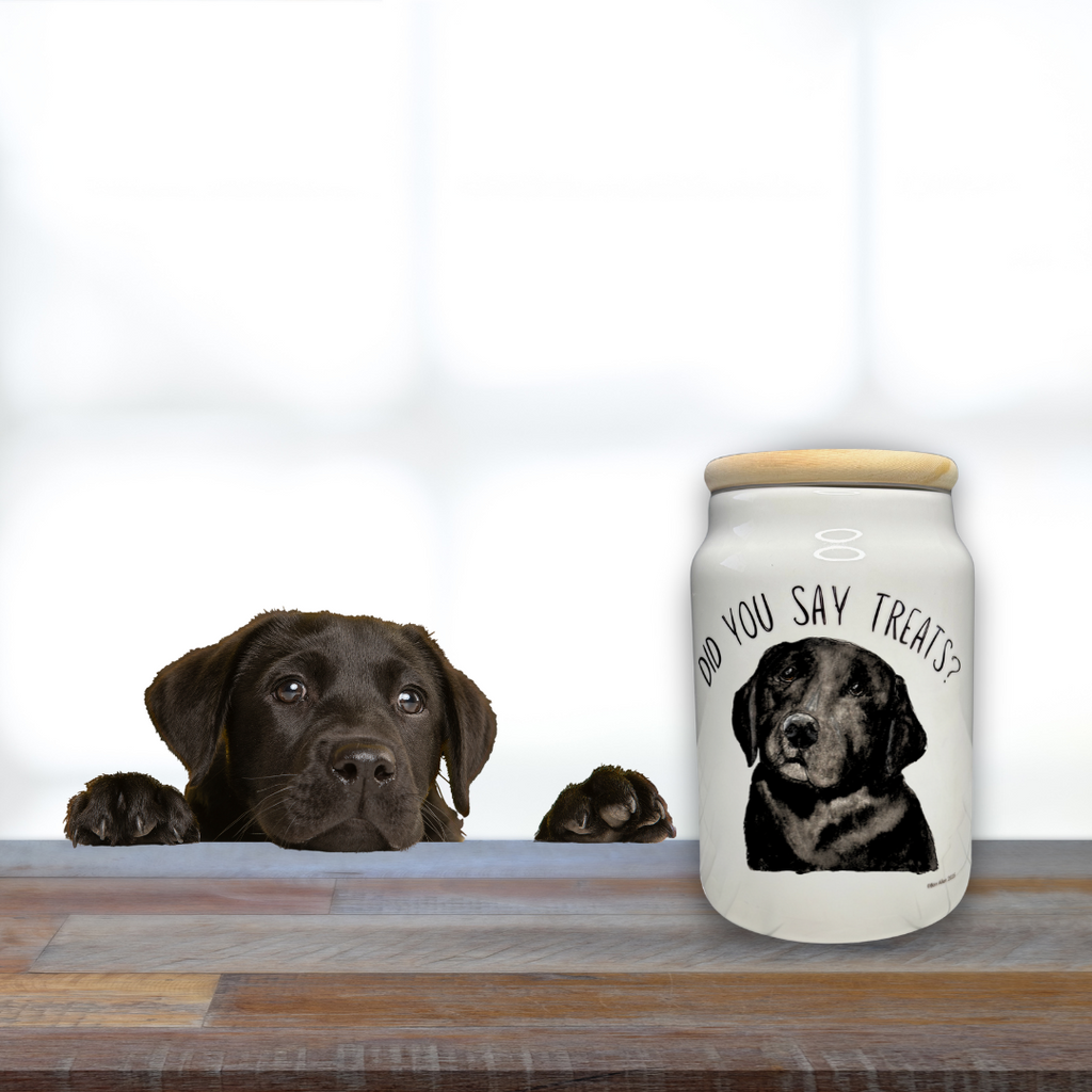 “In Case of Emergency, Break for Biscuits” Ceramic Treat Jar – Starring the Om Nom Nomnivore