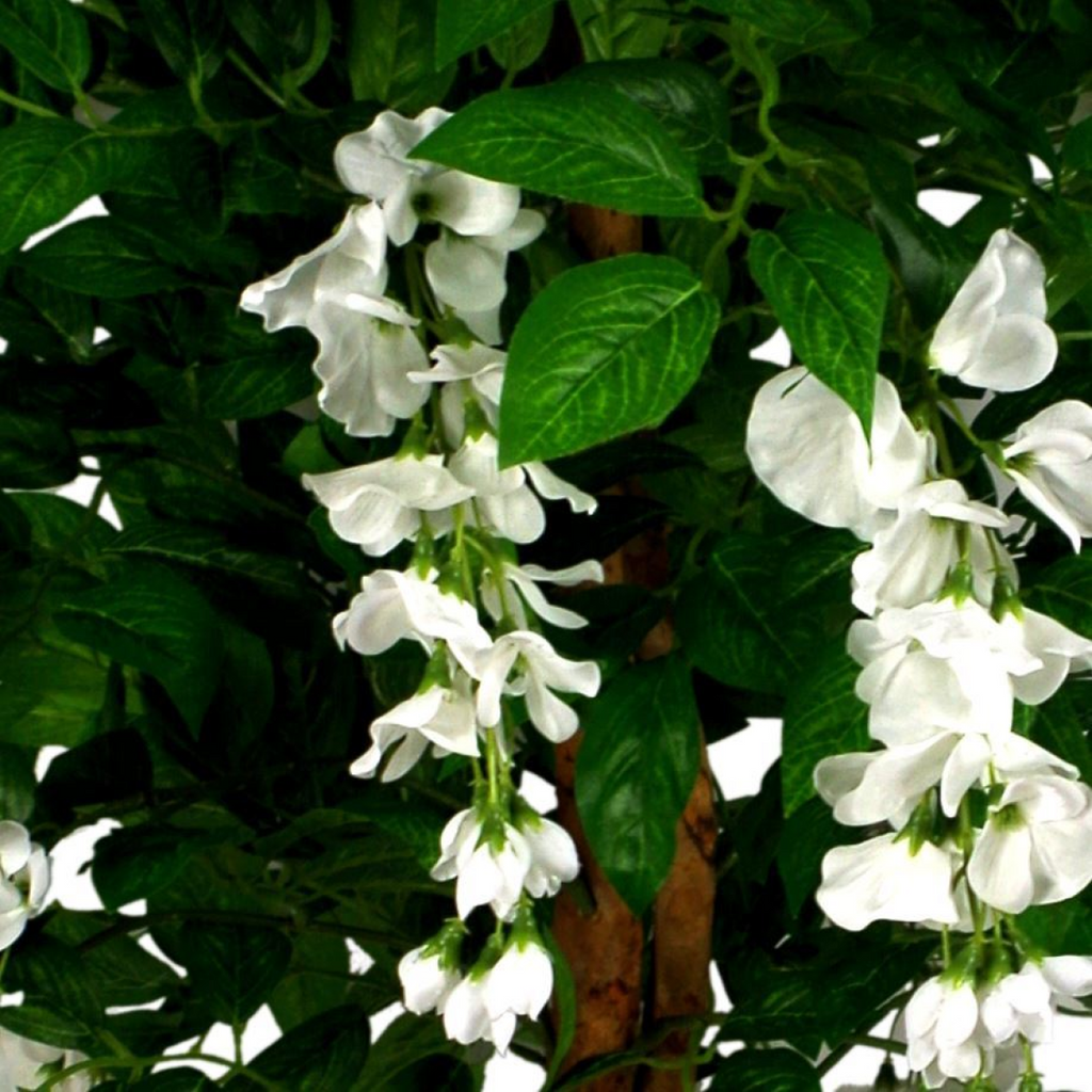 130cm Luxury White Wisteria Tree with Silver Metal Planter