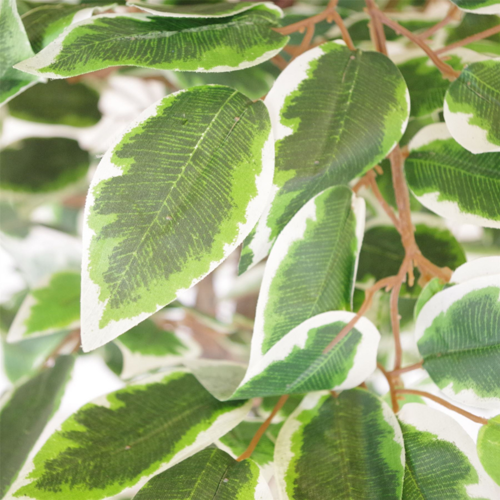 130cm Large Realistic White Edge Ficus Artificial Plant Tree with Silver Metal Planter