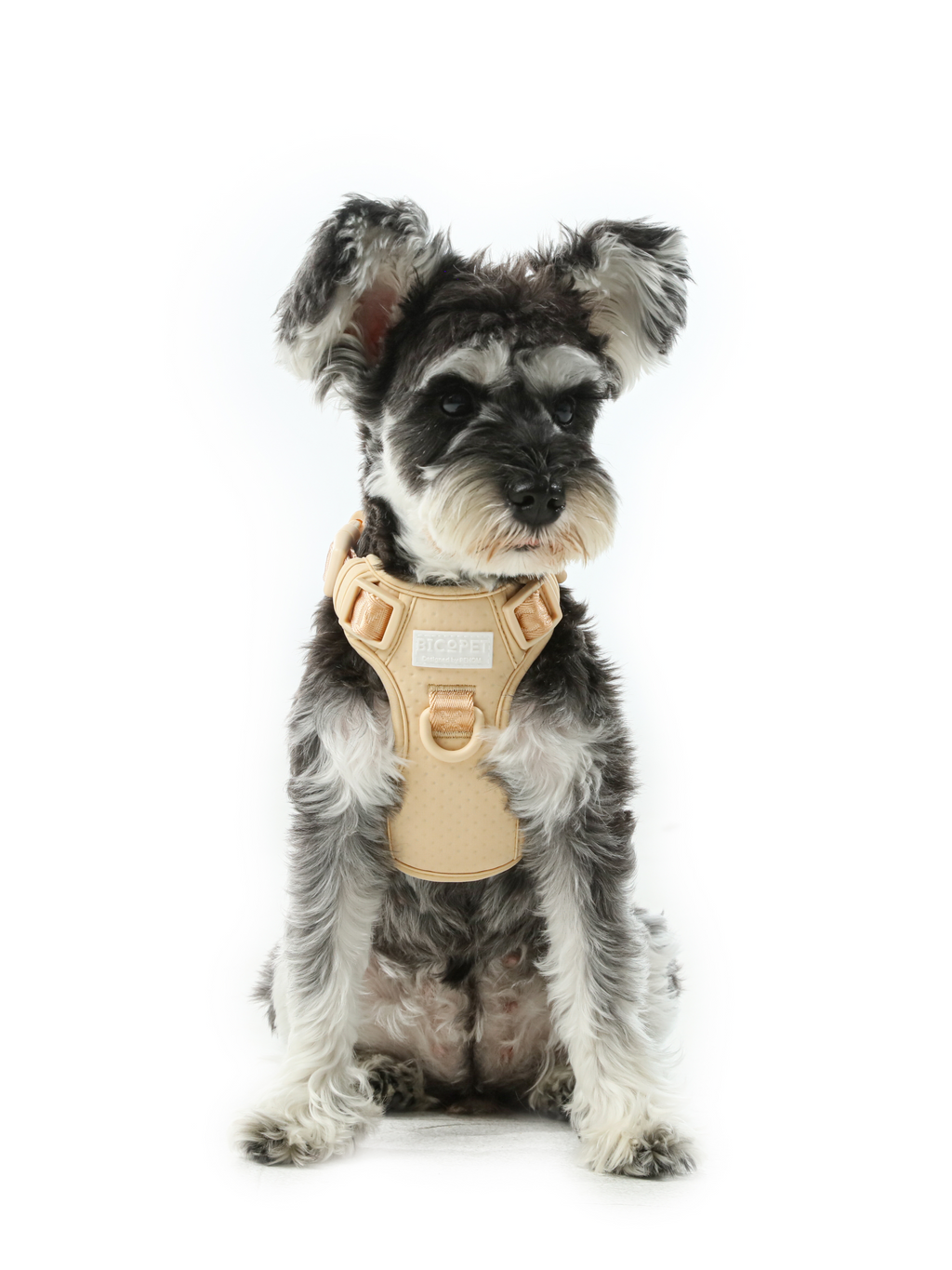 No Pull Active Pet Harness in Apricot