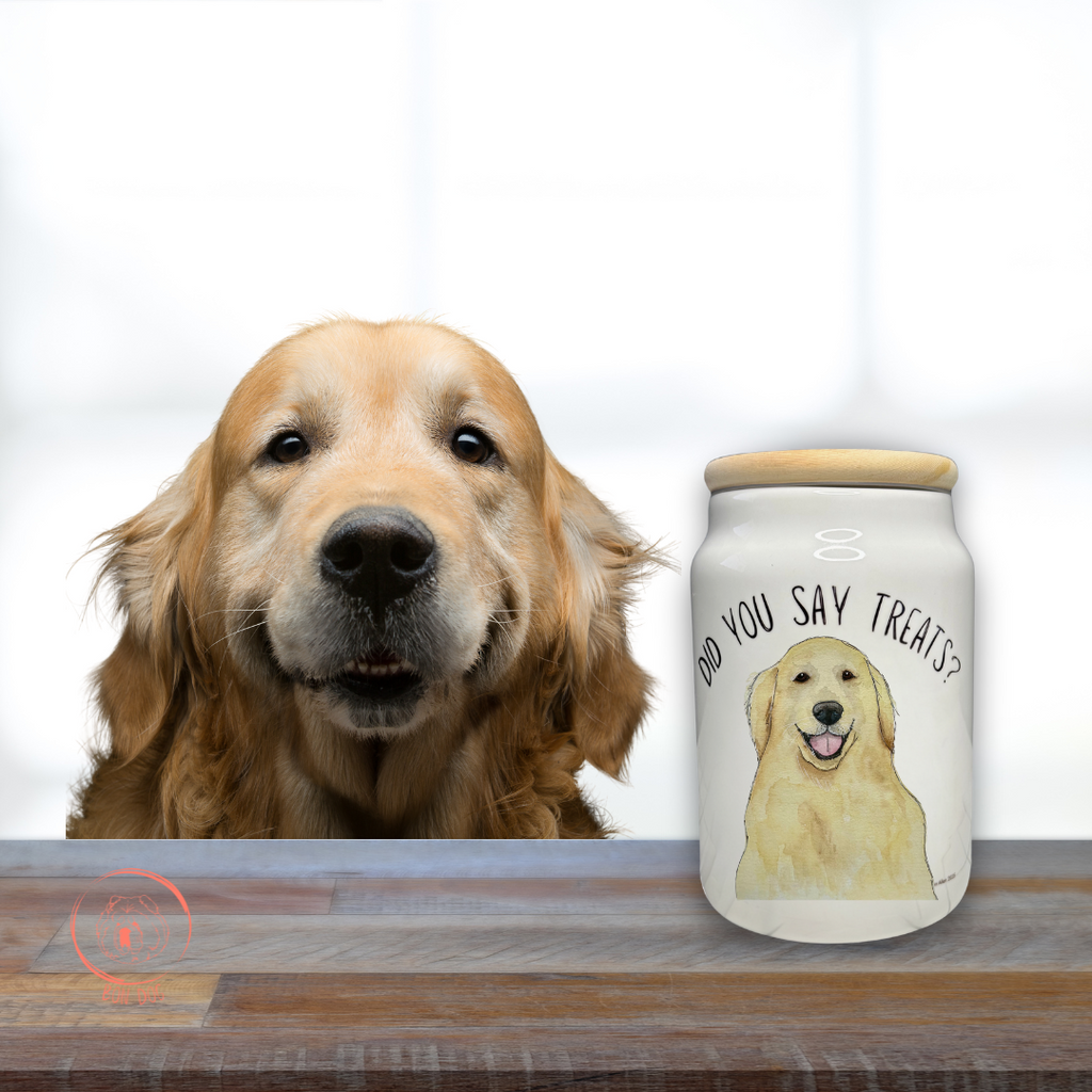 Golden Retriever’s Secret Snack Stash