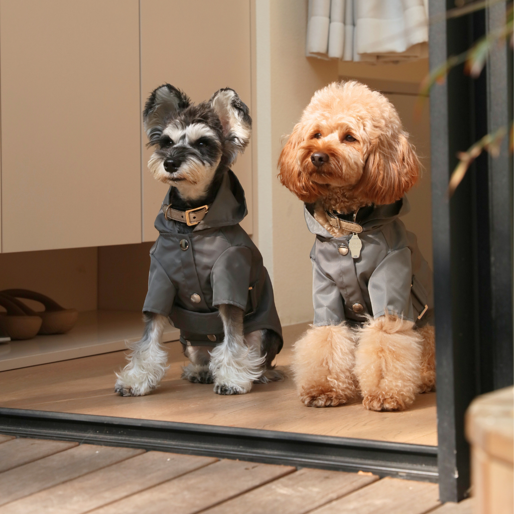 Bowery Raincoat in Gray