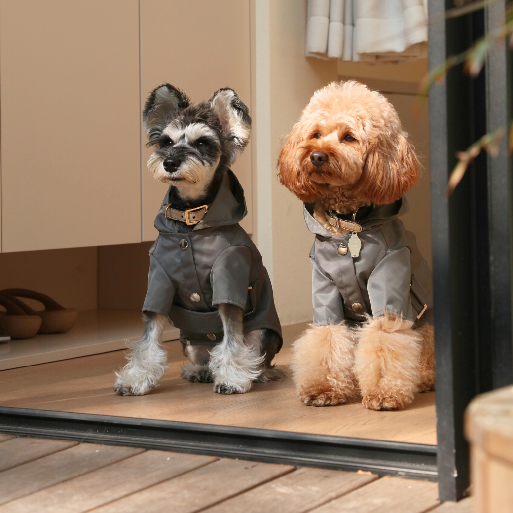Bowery Raincoat in Gray