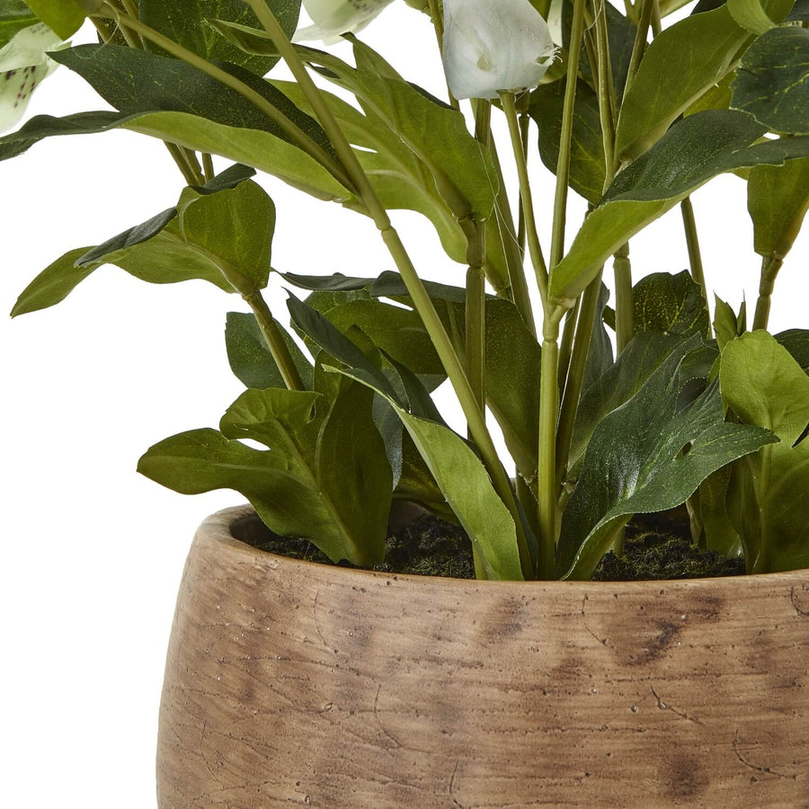 Lifelike faux hellebore plant with vibrant green blooms in taupe ceramic pot, perfect for farmhouse or modern decor by Sostter at brixbailey.com