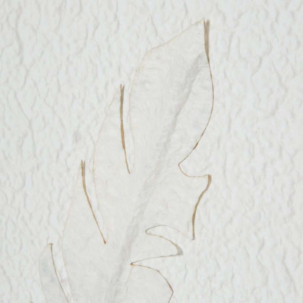 White feather artwork in champagne wood frame, minimalist wall decor for modern interiors  by Sostter at brixbailey.com