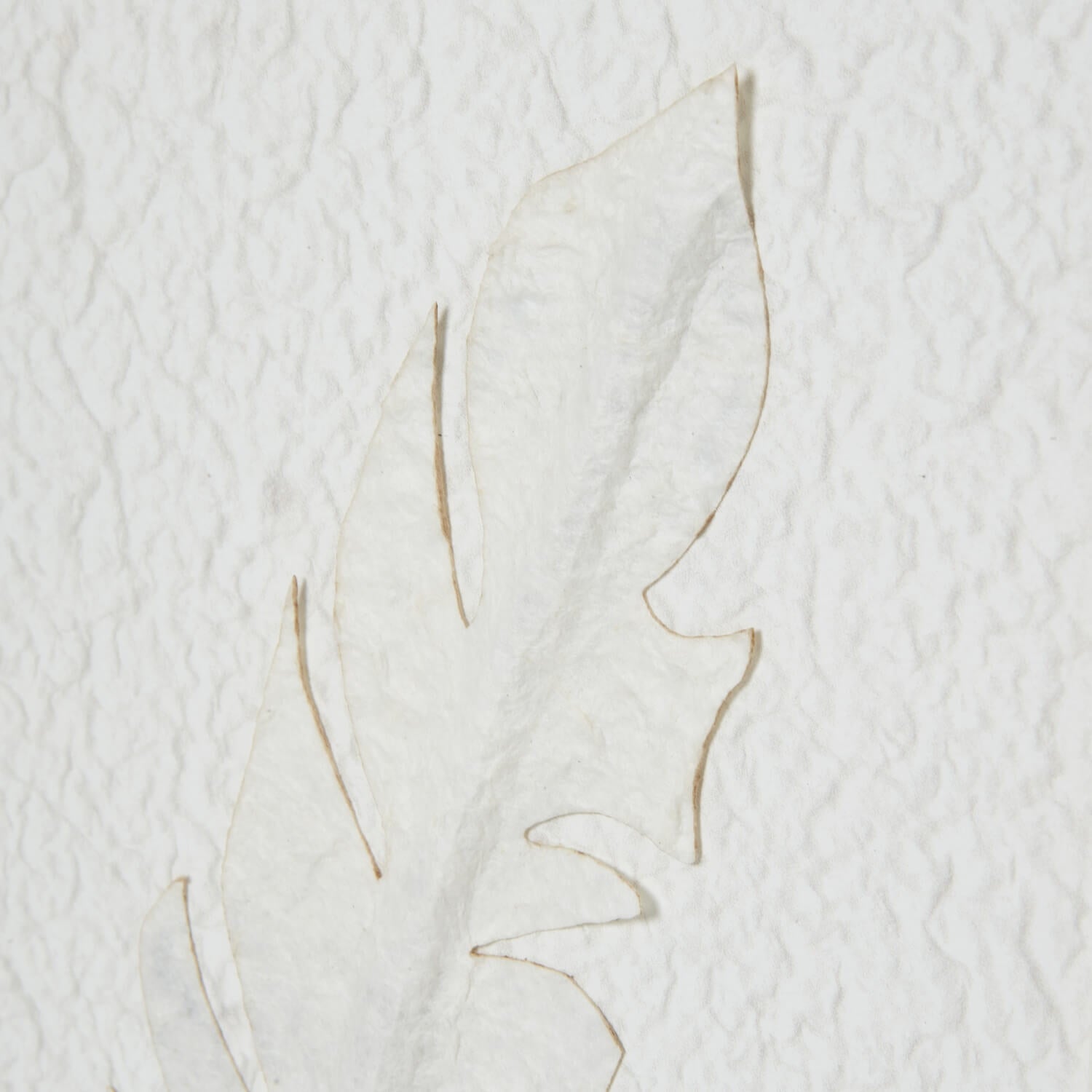 White feather artwork in champagne wood frame, minimalist wall decor for modern interiors  by Sostter at brixbailey.com