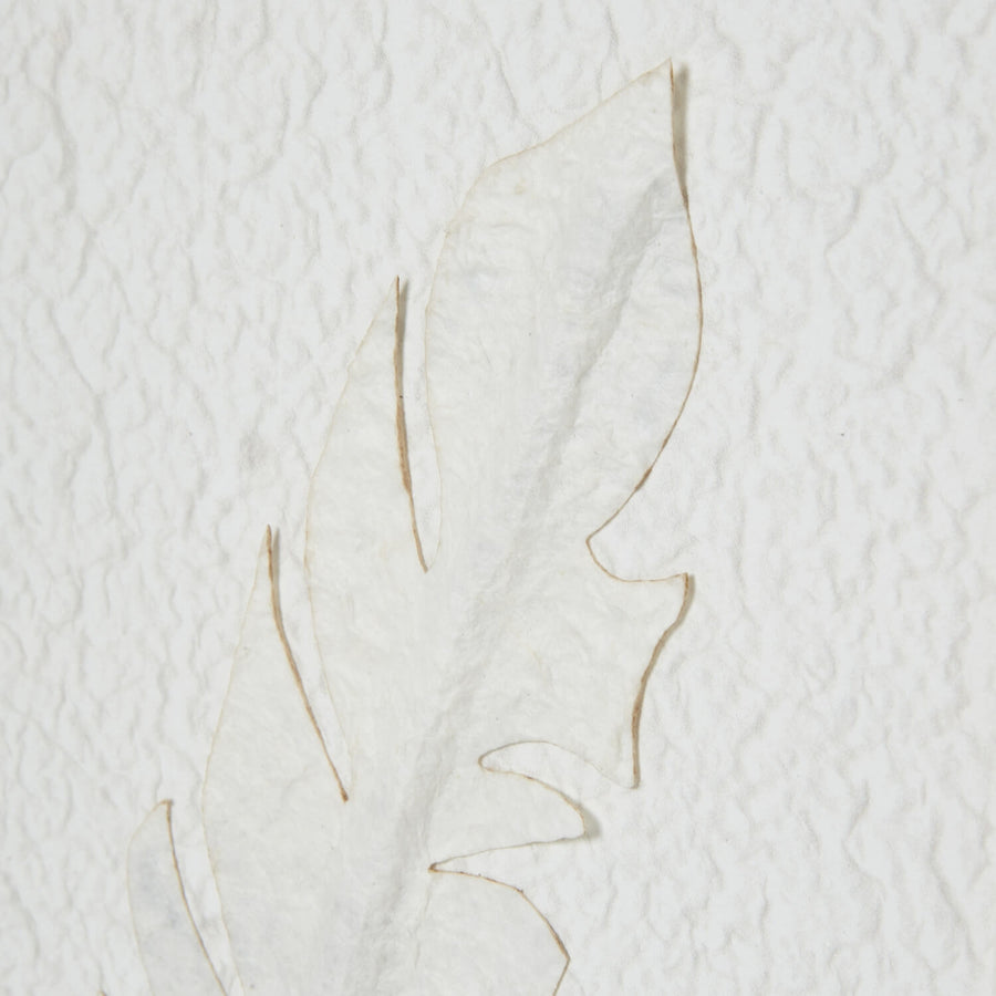 White feather artwork in champagne wood frame, minimalist wall decor for modern interiors  by Sostter at brixbailey.com