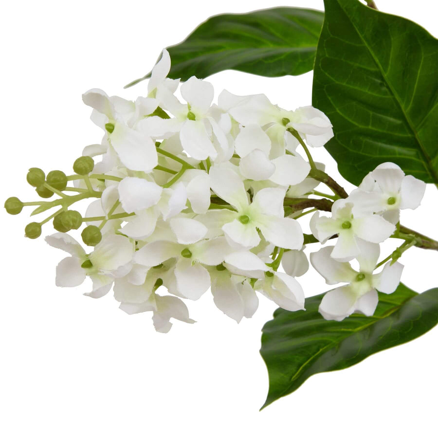 Lifelike white artificial lilac stems with green foliage, 75cm tall, perfect for home decor by Sostter at brixbailey.com