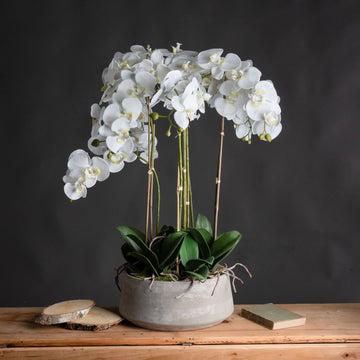 Lifelike white faux orchid in modern stone pot, 90cm tall, perfect for home decor centerpiece by Sostter at brixbailey.com
