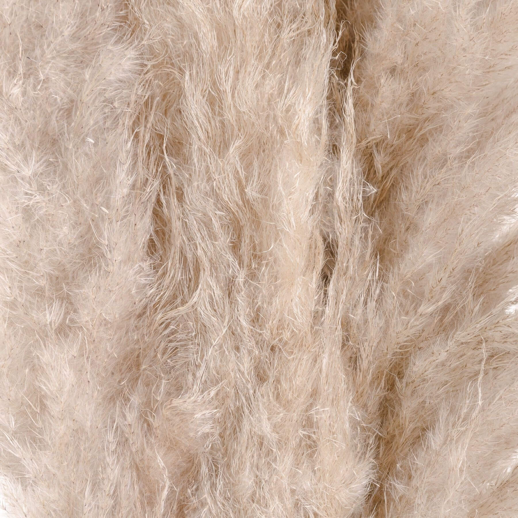Natural cream dried pampas grass stem in stoneware vase, 110cm tall, for minimalist or lavish home dÃ©cor by Sostter at brixbailey.com